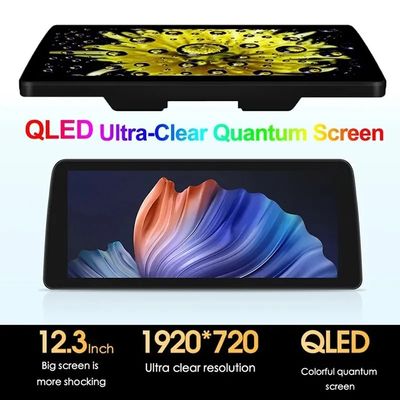 12.3' QLED-scherm 4G LTE Wifi DSP Carplay Android Auto 2Din Car Radio Voor BMW/Benz/Audi Universal
